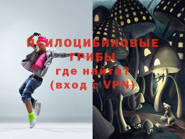стаф Баксан