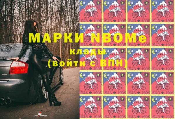 стаф Баксан